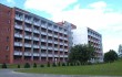 Лесное